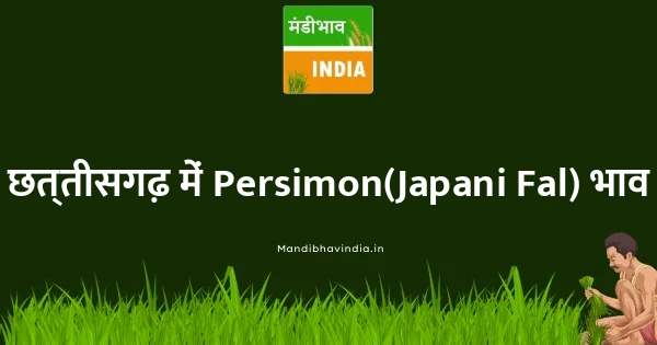Persimon(Japani Fal) भाव